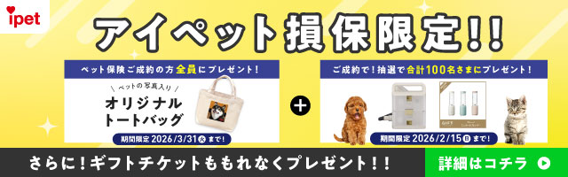 ACybgیII ybgی̕SɃv[gI ybg̎ʐ^IWig[gobO Ԍ 2026/3/31i΁j܂ŁI+ŁIIōv100܂Ƀv[gI Ԍ 2026/2/15ij܂ŁI ɁIMtg`PbgȂv[gII ڍׂ̓R`