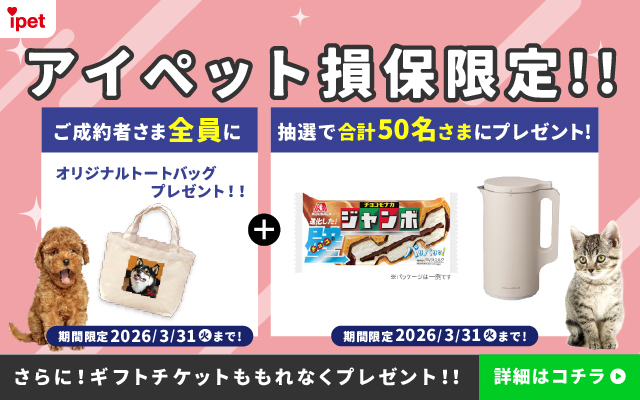 �A�C�y�b�g���ی���I�I ������҂��ܑS���ɃI���W�i���g�[�g�o�b�O�v���[���g�I�I ���Ԍ��� 2026/3/31�i�΁j�܂ŁI �{ ���I�ō��v50�����܂Ƀv���[���g�I ���Ԍ��� 2026/3/31�i�΁j�܂ŁI ����ɁI�M�t�g�`�P�b�g������Ȃ��v���[���g�I�I �ڂ����̓R�`��