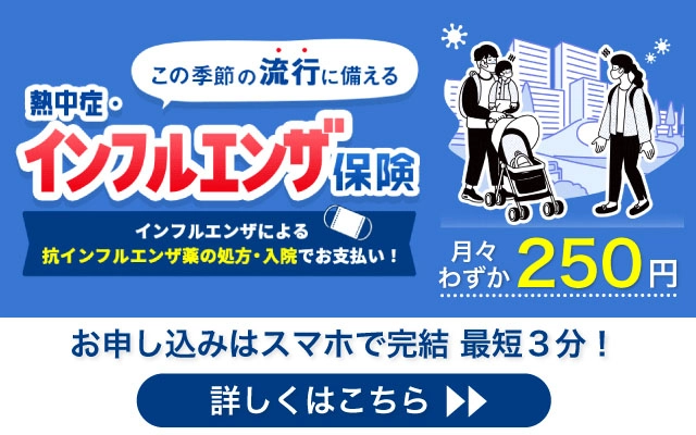 �M���ǁE�C���t���G���U�ی�