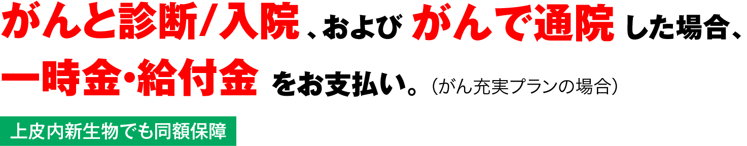 がんと診断/入院、およびがんで通院した場合、一時金・給付金をお支払い。（がん充実プランの場合）