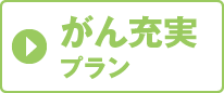 がん充実プラン