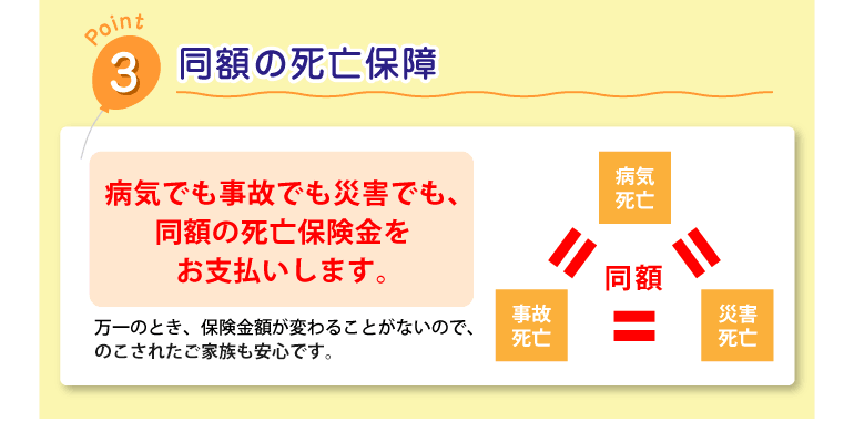 同額の死亡保障